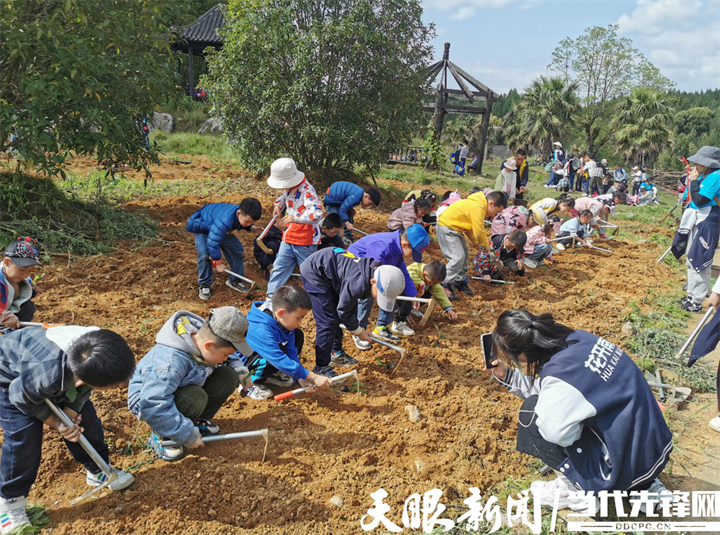 农博园研学.png